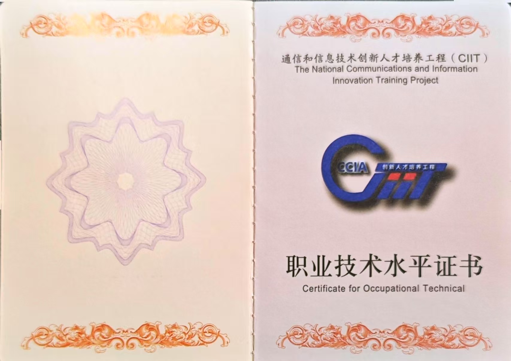 辉达 ffd13