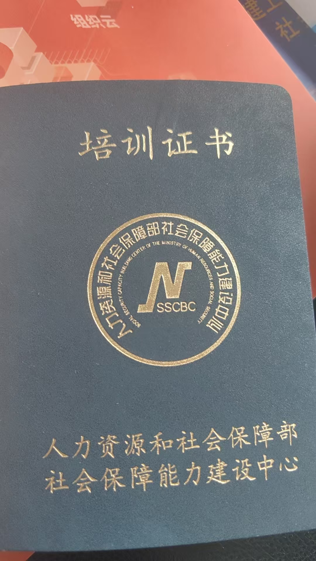 d147d94a1f67338dce77a615ae985013.jpg